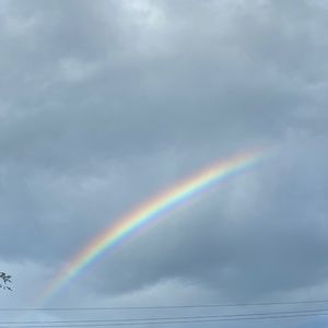 Meet your Posher, Genesis